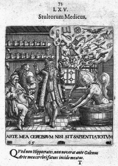 Stultorum Medicus uit 